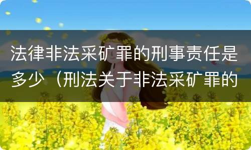 法律非法采矿罪的刑事责任是多少（刑法关于非法采矿罪的规定）