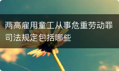 两高雇用童工从事危重劳动罪司法规定包括哪些