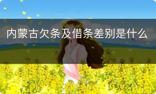 内蒙古欠条及借条差别是什么