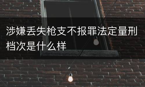 涉嫌丢失枪支不报罪法定量刑档次是什么样