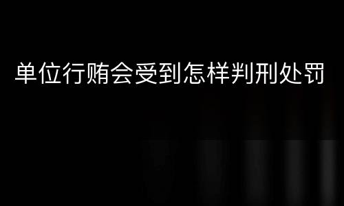 单位行贿会受到怎样判刑处罚