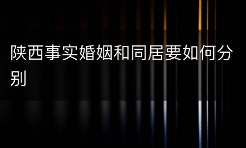 陕西事实婚姻和同居要如何分别