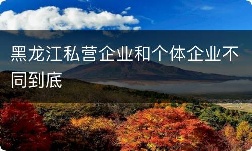 黑龙江私营企业和个体企业不同到底