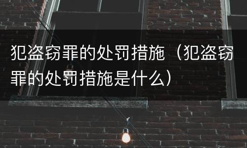 犯盗窃罪的处罚措施（犯盗窃罪的处罚措施是什么）