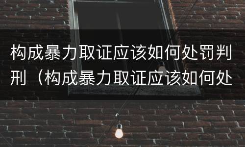 构成暴力取证应该如何处罚判刑（构成暴力取证应该如何处罚判刑的人）