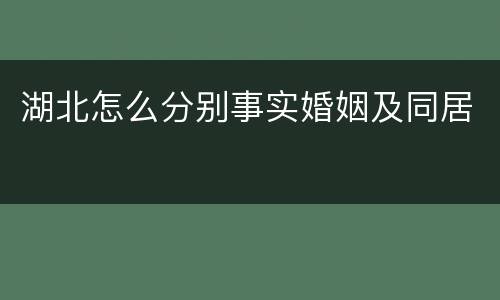 湖北怎么分别事实婚姻及同居