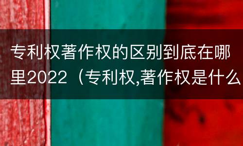 专利权著作权的区别到底在哪里2022（专利权,著作权是什么）