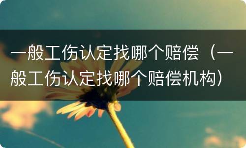 一般工伤认定找哪个赔偿（一般工伤认定找哪个赔偿机构）