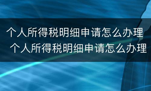个人所得税明细申请怎么办理 个人所得税明细申请怎么办理手续