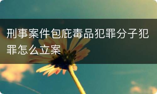 刑事案件包庇毒品犯罪分子犯罪怎么立案