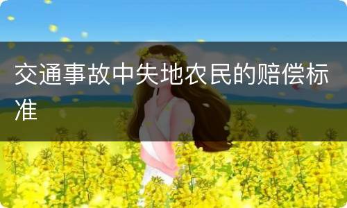 交通事故中失地农民的赔偿标准