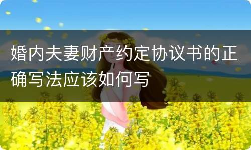 婚内夫妻财产约定协议书的正确写法应该如何写