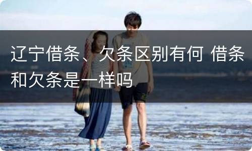 辽宁借条、欠条区别有何 借条和欠条是一样吗