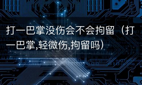打一巴掌没伤会不会拘留（打一巴掌,轻微伤,拘留吗）