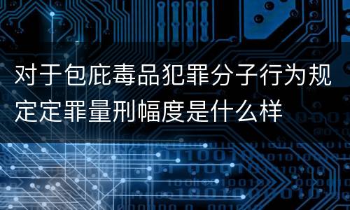 对于包庇毒品犯罪分子行为规定定罪量刑幅度是什么样