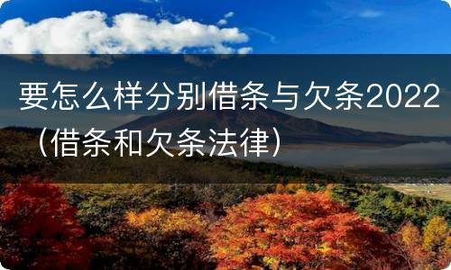 要怎么样分别借条与欠条2022（借条和欠条法律）