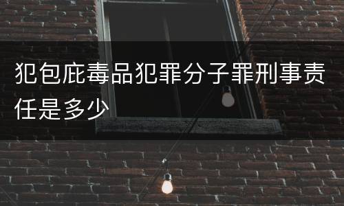 犯包庇毒品犯罪分子罪刑事责任是多少