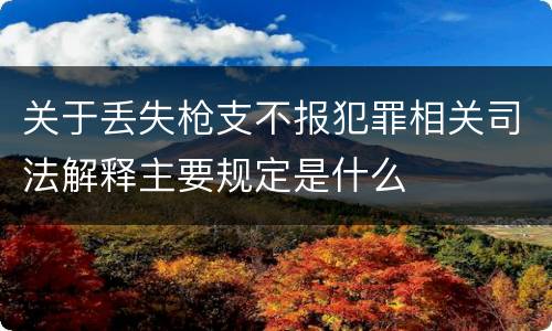 关于丢失枪支不报犯罪相关司法解释主要规定是什么