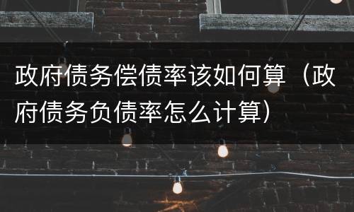 政府债务偿债率该如何算（政府债务负债率怎么计算）