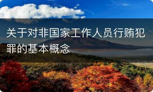 关于对非国家工作人员行贿犯罪的基本概念