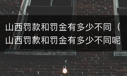 山西罚款和罚金有多少不同（山西罚款和罚金有多少不同呢）
