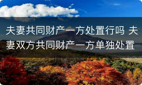 夫妻共同财产一方处置行吗 夫妻双方共同财产一方单独处置 合同有效吗