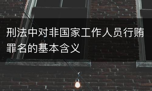 刑法中对非国家工作人员行贿罪名的基本含义