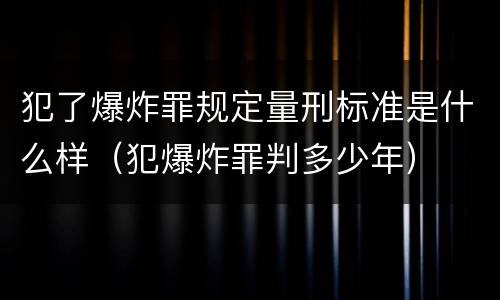 犯了爆炸罪规定量刑标准是什么样（犯爆炸罪判多少年）