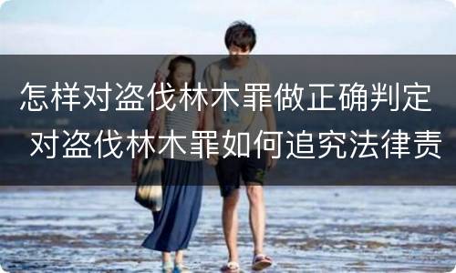 怎样对盗伐林木罪做正确判定 对盗伐林木罪如何追究法律责任