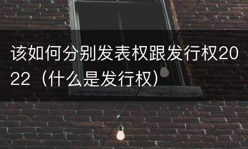 该如何分别发表权跟发行权2022（什么是发行权）