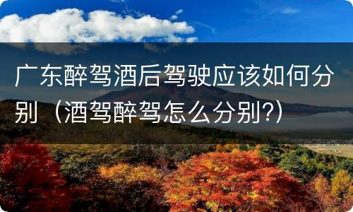 广东醉驾酒后驾驶应该如何分别（酒驾醉驾怎么分别?）