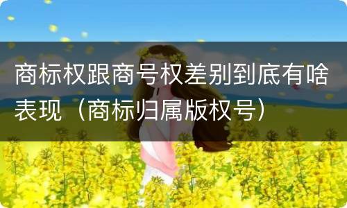 商标权跟商号权差别到底有啥表现（商标归属版权号）