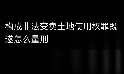 构成非法变卖土地使用权罪既遂怎么量刑