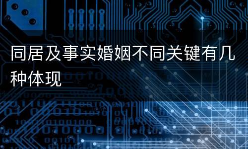 同居及事实婚姻不同关键有几种体现
