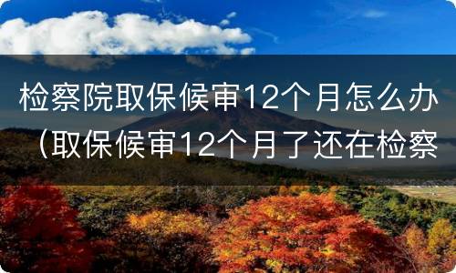 检察院取保候审12个月怎么办（取保候审12个月了还在检察院）