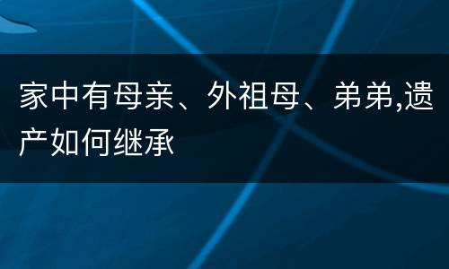 家中有母亲、外祖母、弟弟,遗产如何继承