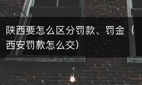 陕西要怎么区分罚款、罚金（西安罚款怎么交）