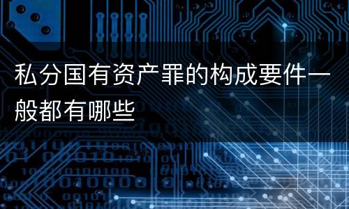 私分国有资产罪的构成要件一般都有哪些