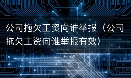 公司拖欠工资向谁举报（公司拖欠工资向谁举报有效）
