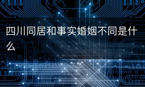 四川同居和事实婚姻不同是什么