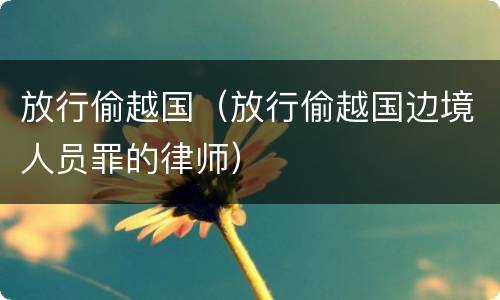 放行偷越国（放行偷越国边境人员罪的律师）