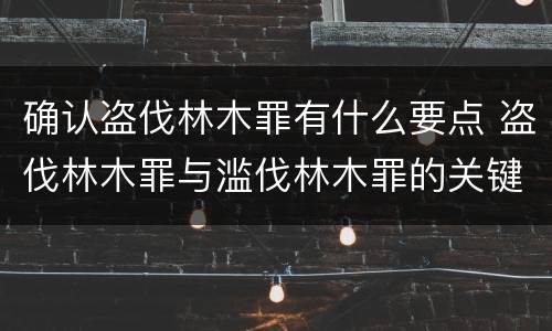 确认盗伐林木罪有什么要点 盗伐林木罪与滥伐林木罪的关键区别是什么