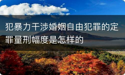 犯暴力干涉婚姻自由犯罪的定罪量刑幅度是怎样的