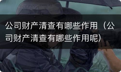 公司财产清查有哪些作用（公司财产清查有哪些作用呢）