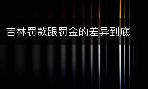 吉林罚款跟罚金的差异到底