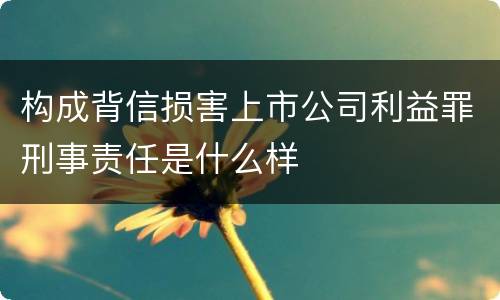 构成背信损害上市公司利益罪刑事责任是什么样