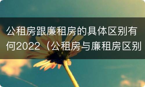 公租房跟廉租房的具体区别有何2022（公租房与廉租房区别）
