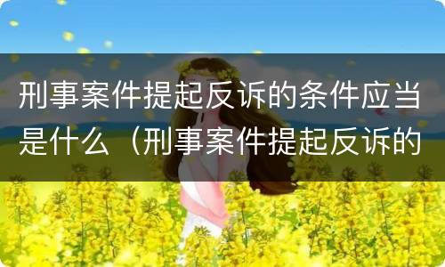 刑事案件提起反诉的条件应当是什么（刑事案件提起反诉的条件应当是什么意思）