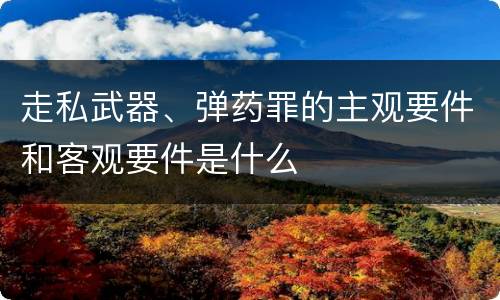 走私武器、弹药罪的主观要件和客观要件是什么
