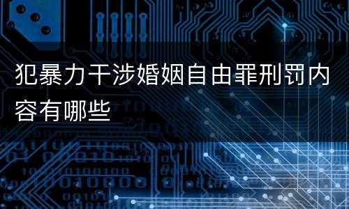 犯暴力干涉婚姻自由罪刑罚内容有哪些